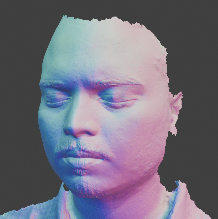 Desktop Scan Mesh normal